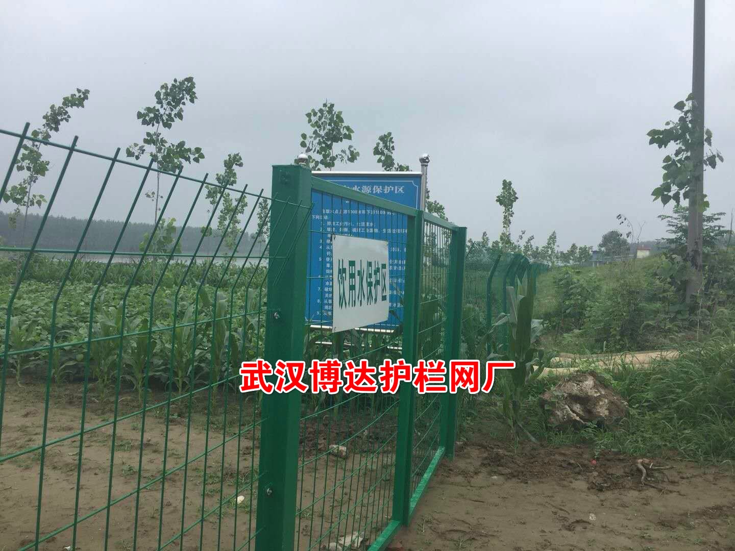 1530669801290807.jpg 1530669801290807.jpg