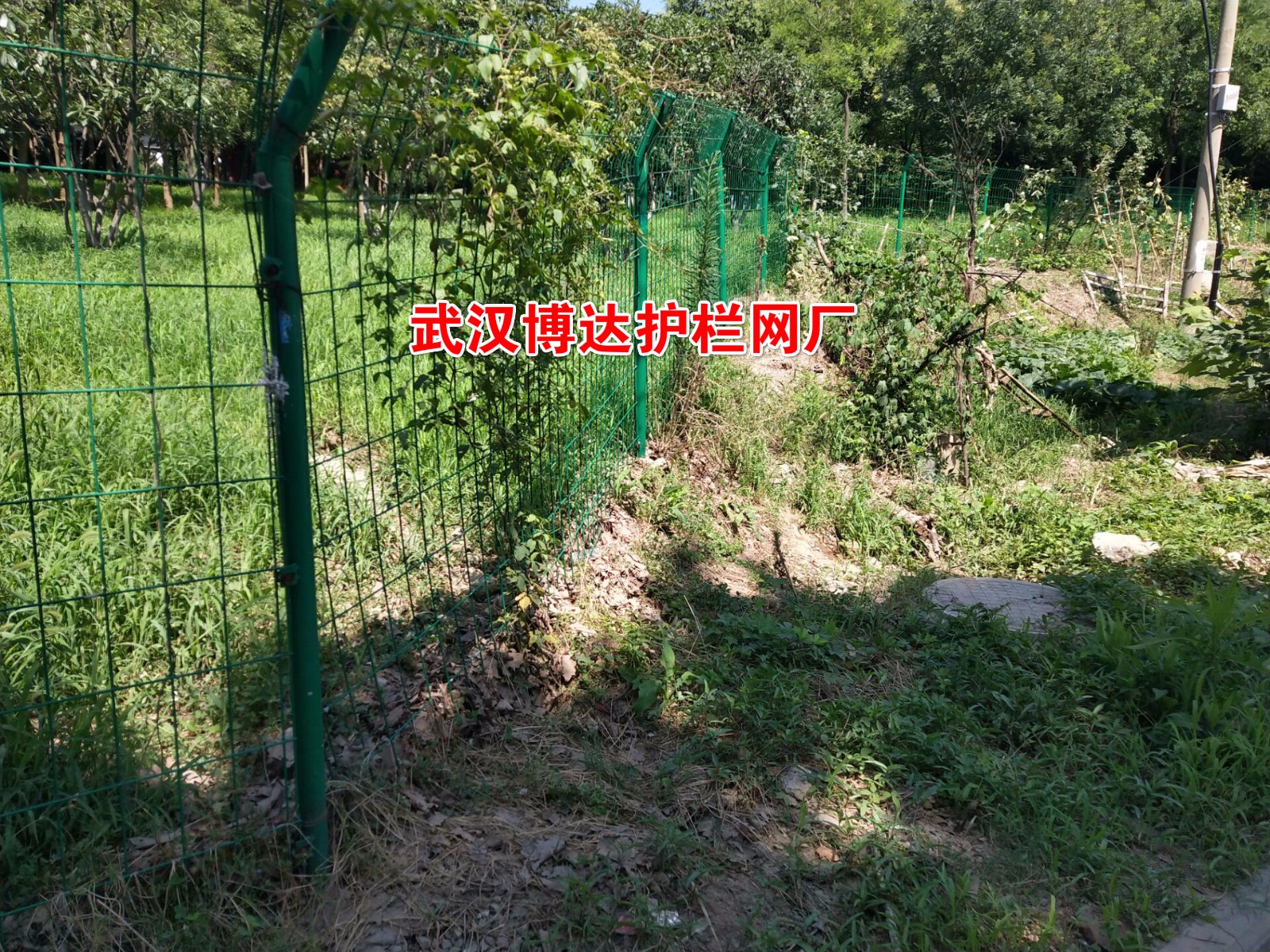 1531293509107241.jpg 1531293509107241.jpg