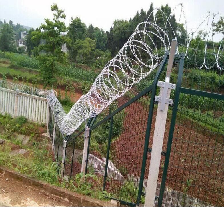 1536020853346501.jpg 1536020853346501.jpg